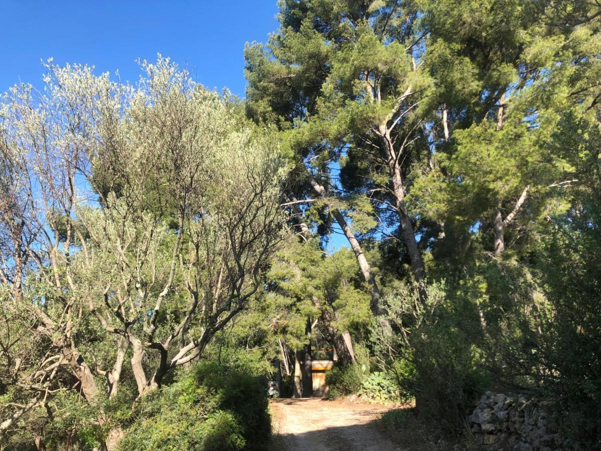 شقة Les Pins لو كاستليت المظهر الخارجي الصورة