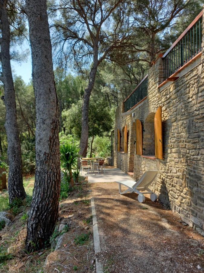 شقة Les Pins لو كاستليت المظهر الخارجي الصورة